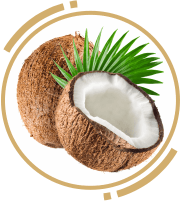 1 zah coconut oil