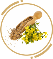 3 zah mustard oil