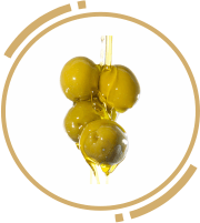 5 zah olive oil